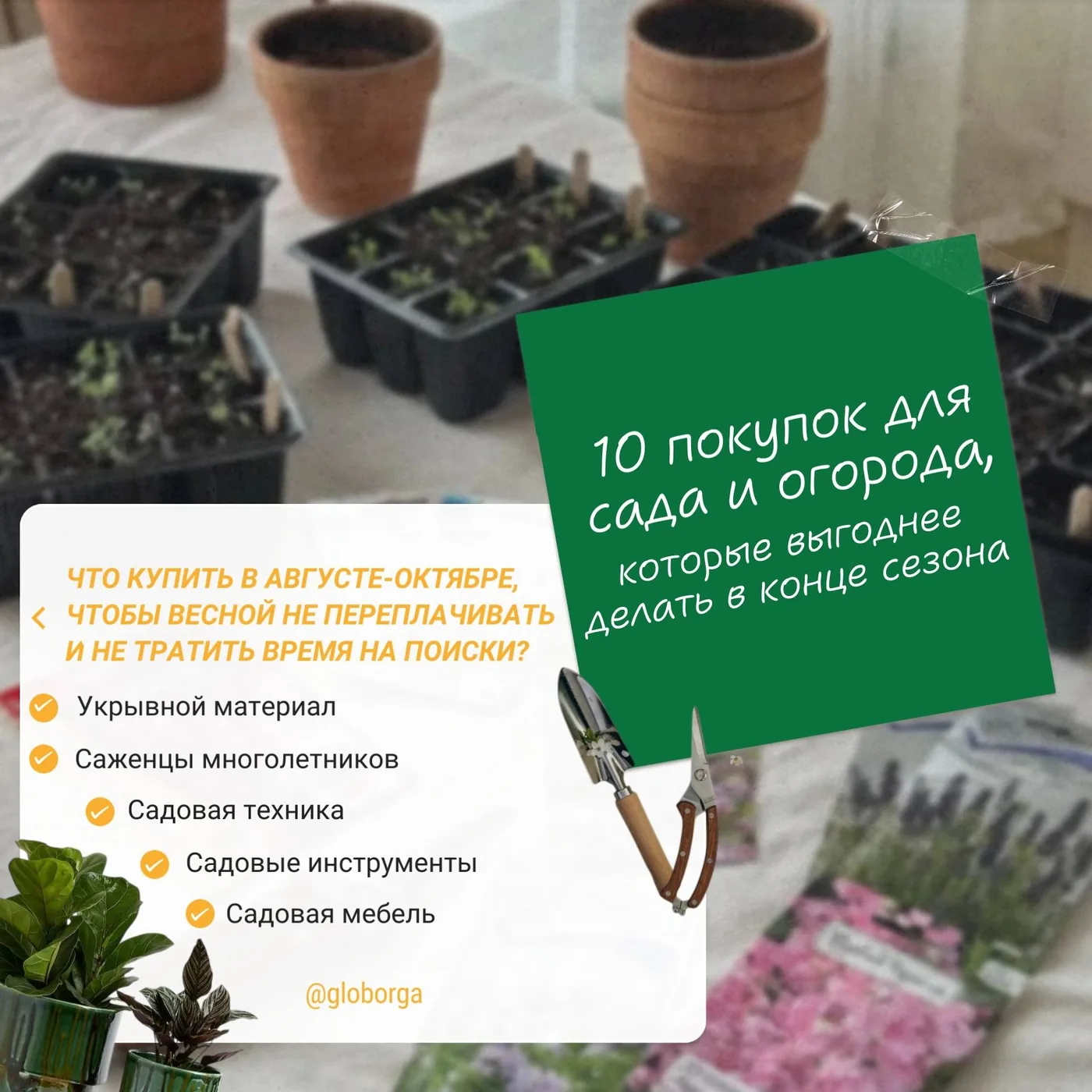 Что купить для дачи заранее: осенний список