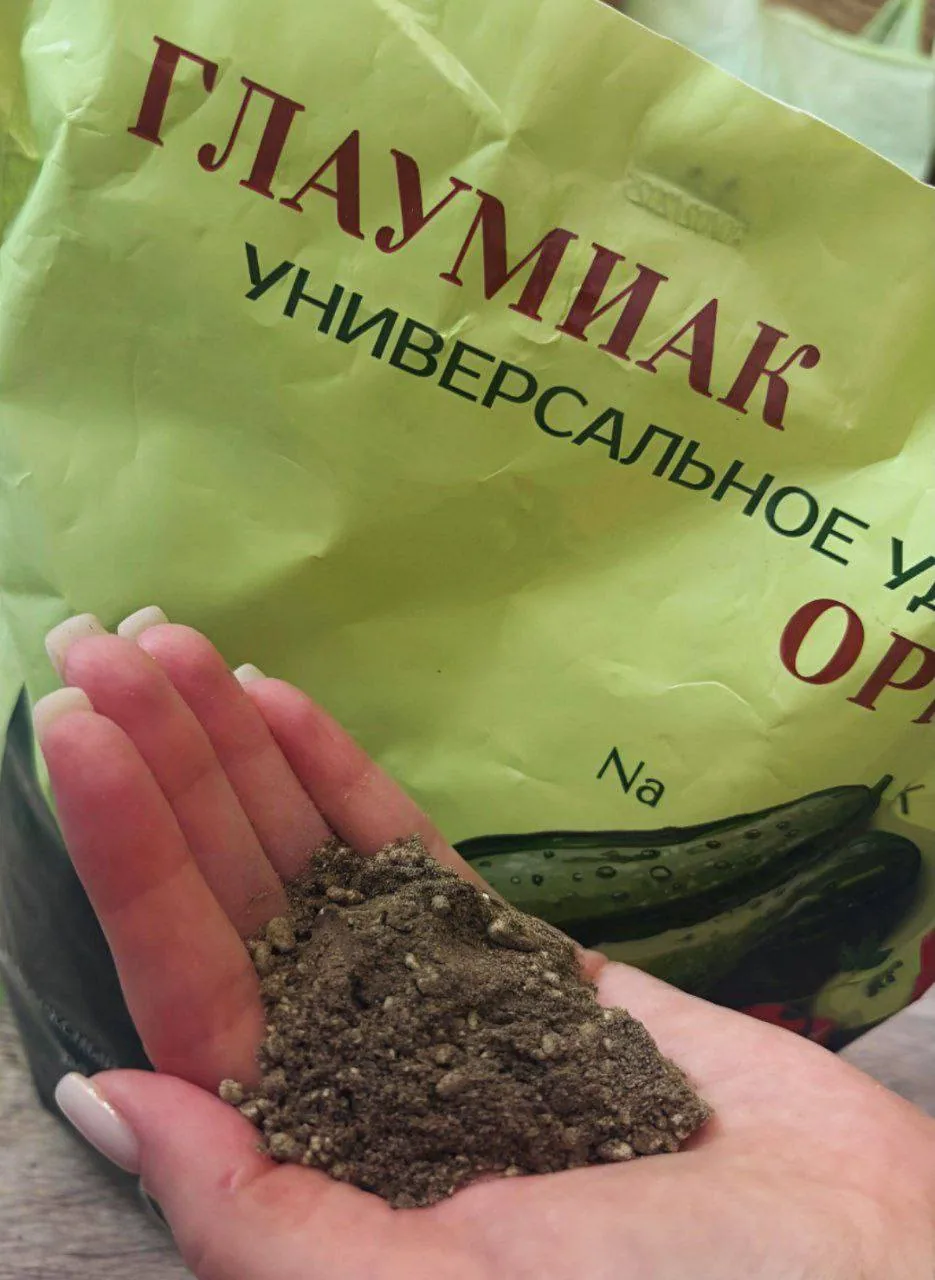 Пять причин использовать глауконит для рассады