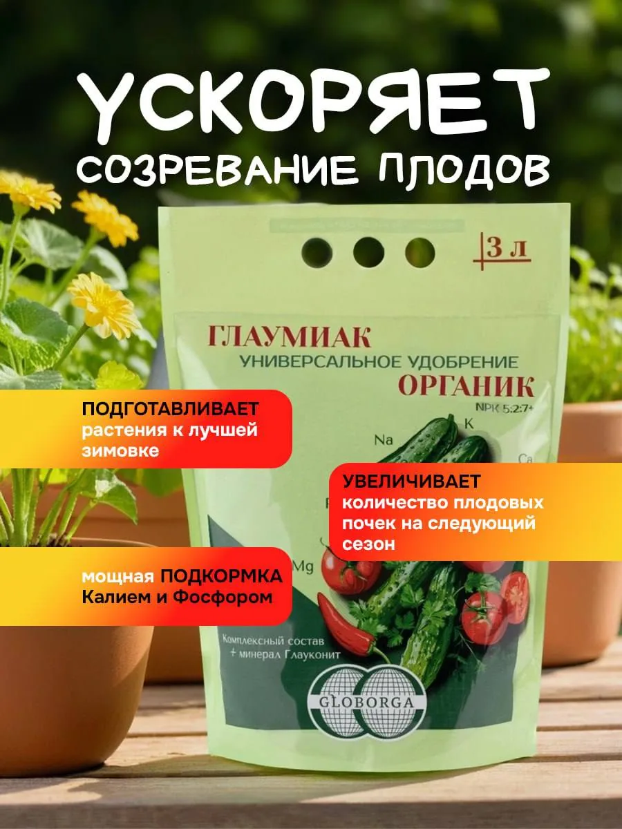 Осенняя подкормка растений: готовим сад к зимовке
