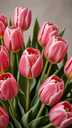 Тюльпаны