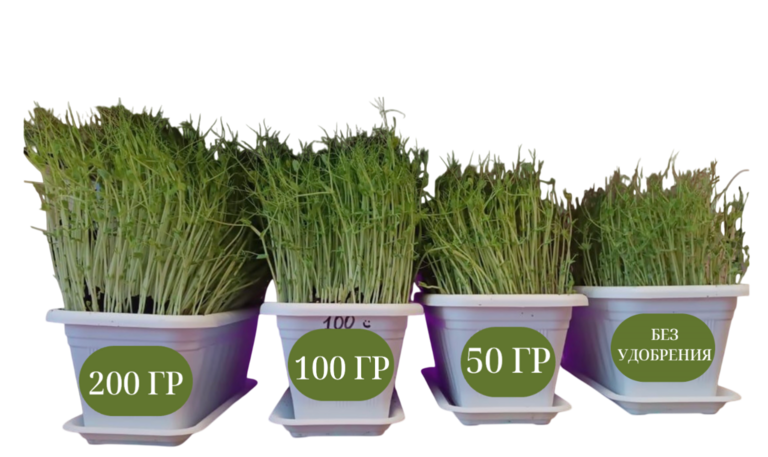 Результат через 14 дней