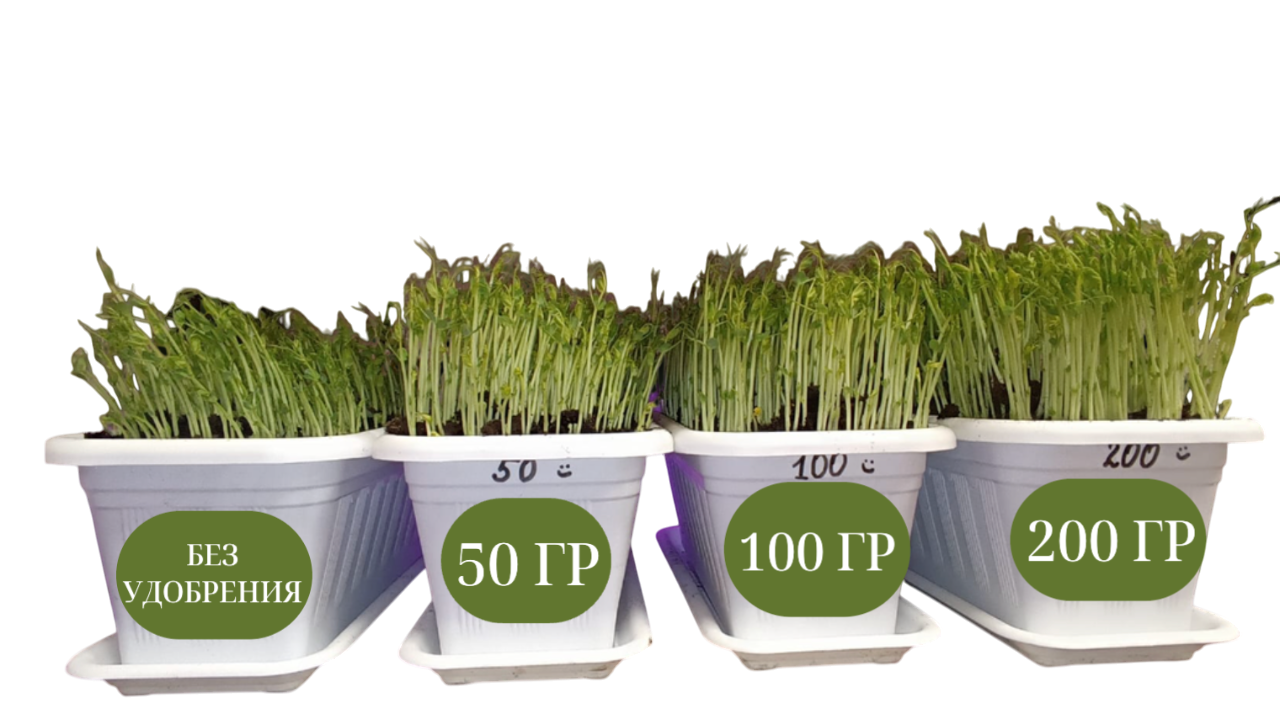 Результат через 9 дней