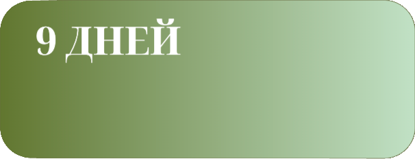 Результат через 9 дней схема